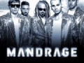 MANDRAGE - Pardubice